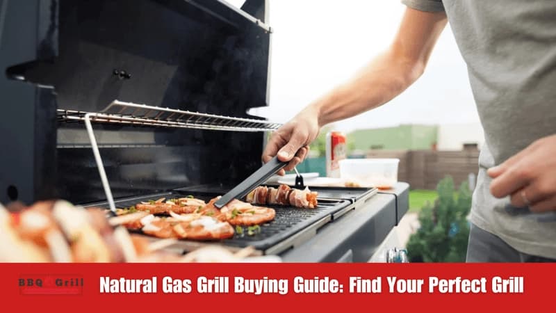 Find Your Perfect Grill-image